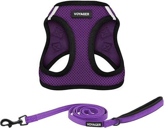 Voyager Step-in Air All Weather Mesh Harness and Reflective Dog 5 ft Leash Combo with Neoprene Handle, for Small, Medium and Large Breed Puppies by Best Pet Supplies - Purple, Large