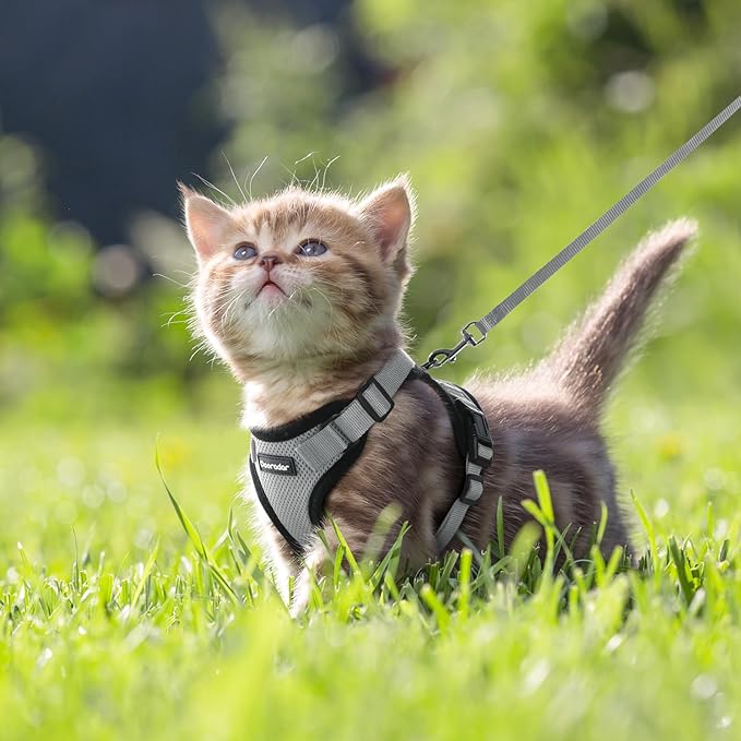 Dooradar Cat Harness and Leash Set, Escape Proof Safe Adjustable Kitten Vest Harnesses for Walking, Easy Control Soft Breathable Mesh Jacket with Reflective Strips for Cats, Grey, XXS