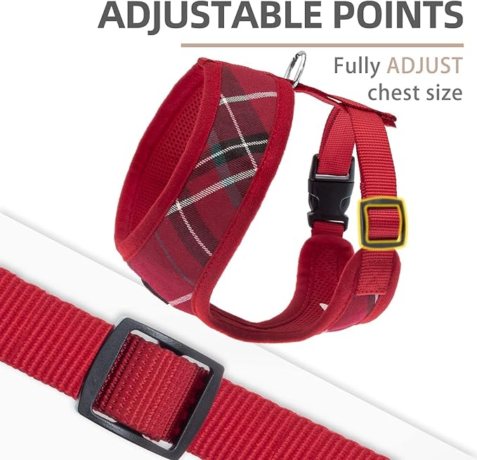 PUPTECK Soft Mesh Dog Harness and Leash Set Pet Puppy Cat Comfort Padded Vest No Pull Harnesses, Red, XS