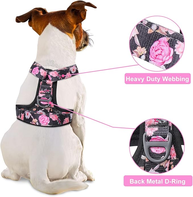 Petmolico No Pull Dog Harness Leash Set, Front and Back Metal Clips Easy Walk Dog Harness with Handle for Training Outdoor Adventures, Peony Small