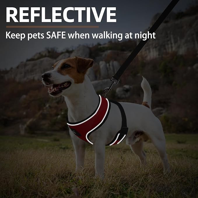 PUPTECK Soft Mesh Dog Harness and Leash Set Pet Puppy Cat Comfort Padded Vest No Pull Harnesses, Solid Red, M