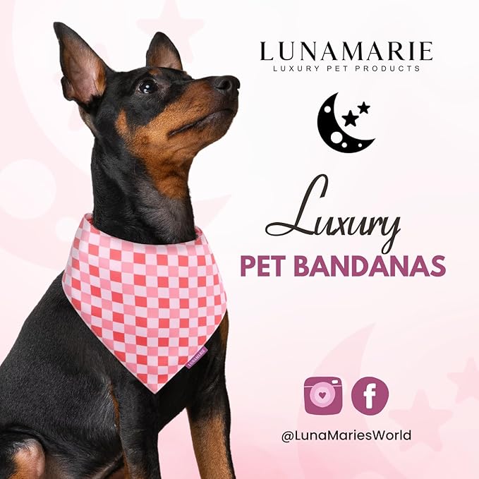 Luxury Pet Birthday Bandanas -Premium & Silky Poly Fabric | 100% Handmade | Custom Shape Dual Layered (Rebel, Large)