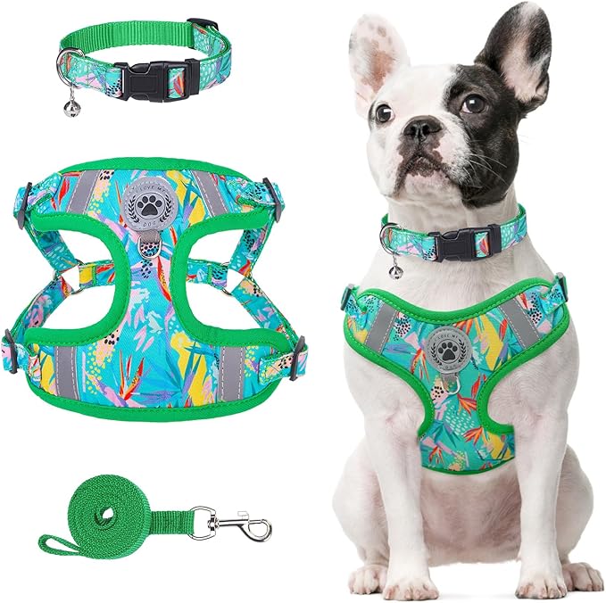 BEAUTYZOO Dog Harness Collar and Leash Set, No Pull Step in Pet Harness for Small Sized Dogs, Adjustable No Escape Puppy Vest Harnesses Outdoor Walking Running, Soft Reflective Vest, Green XS