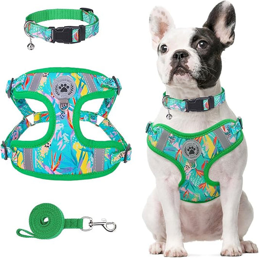 BEAUTYZOO Dog Harness Collar and Leash Set, No Pull Step in Pet Harness for Small Sized Dogs, Adjustable No Escape Puppy Vest Harnesses Outdoor Walking Running, Soft Reflective Vest, Green XS