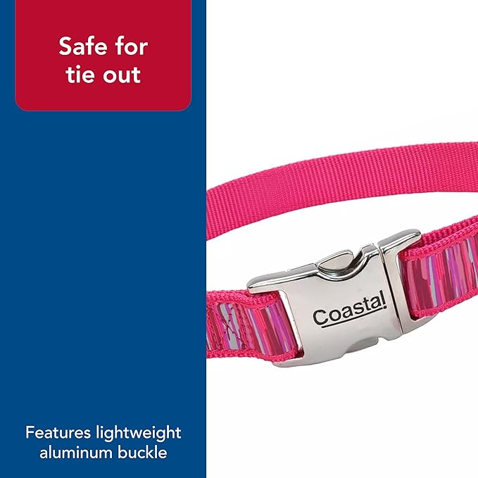 Coastal Pet - Ribbon - Adjustable Dog Collar with Metal Buckle, Pink Flamingo Stripe, 5/8" x 12"-18"
