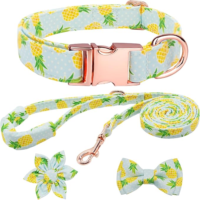 Dog Collar and Leash Set Girls Adjustable Puppy Collars with Fruit Bow Tie for Small Medium Large Female Dogs, Pineapple, XS