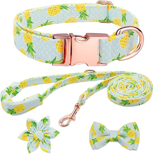 Dog Collar and Leash Set Girls Adjustable Puppy Collars with Fruit Bow Tie for Small Medium Large Female Dogs, Pineapple, XS