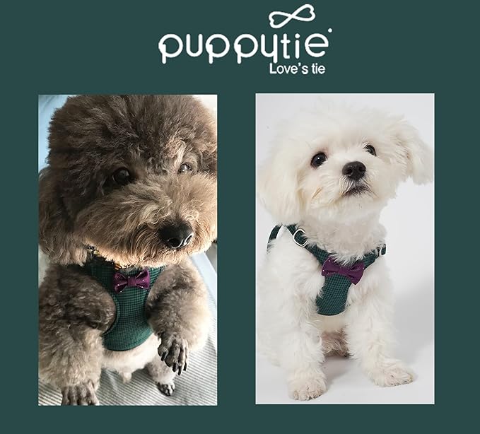 Puppytie No Pull xs Dog Harness with Multifunction Dog Leash,Soft Adjustable No Choke Escape Proof Pet Harness Vest,Glossy Dark Green,XXS