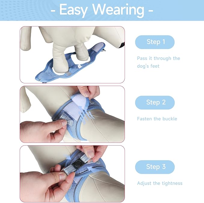 Dog Harness for Small Dogs and Leash Set, Honeycomb Grid, Reflective Lightweight Harness & Anti-Twist Pet Lead Multi Color, Size: XS-S-M. (S, Aqua Blue)