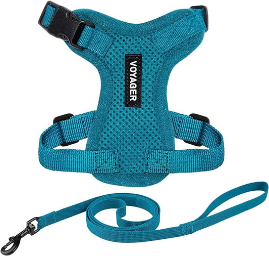 Voyager Step-in Lock Adjustable Cat Harness w. Cat Leash Combo Set with Neoprene Handle 5ft - Supports Small, Medium and Large Breed Cats by Best Pet Supplies - Turquoise, XS