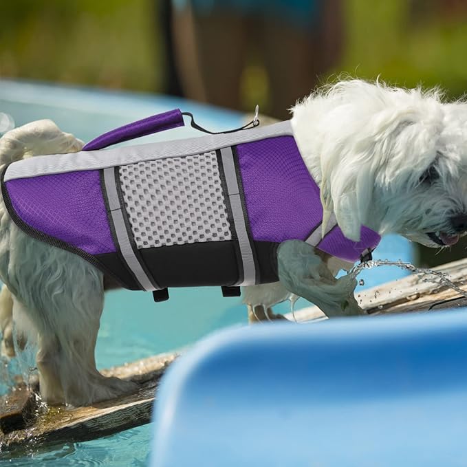 Queenmore Dog Life Jacket Swimming Vest Lightweight High Reflective Pet Lifesaver with Lift Handle, Leash Ring Purple,S