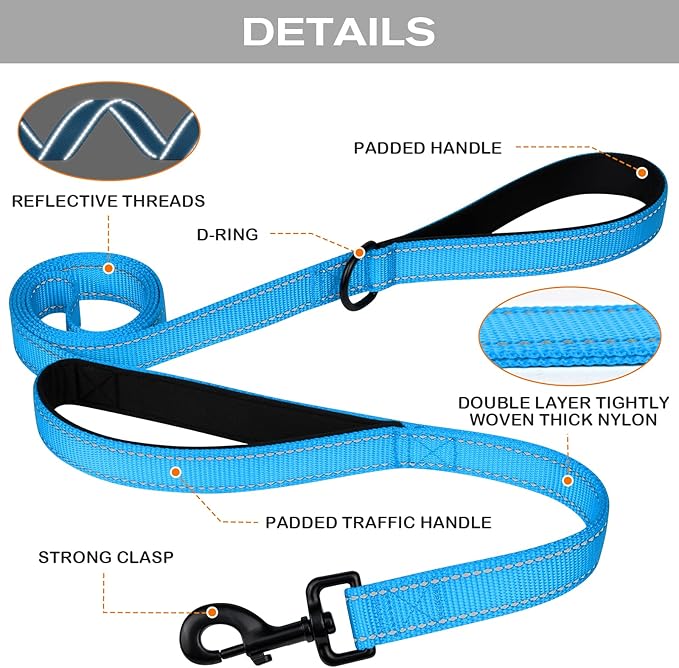 Joytale Dog Leash Heavy Duty for Large Dogs That Pull, Double Handle for Traffic Control, Double-Sided Reflective Leashes for Large Medium Dogs Night Safety, 5FT, Aqua Blue