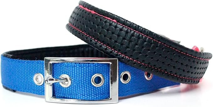 Downtown Pet Supply Deluxe Padded Adjustable Dog Collar - Metal Buckle & D-Ring - Machine Washable & Water Resistant - Blue - L