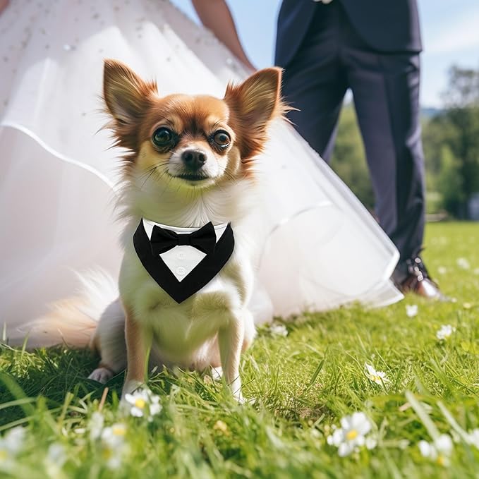 Cyeollo Wedding Bandana Collar With Bow Tie - Adjustable Tuxedo for Small Dogs, Pet Birthday Outfit, Costumes, Engagement Party Bandanas - Black S