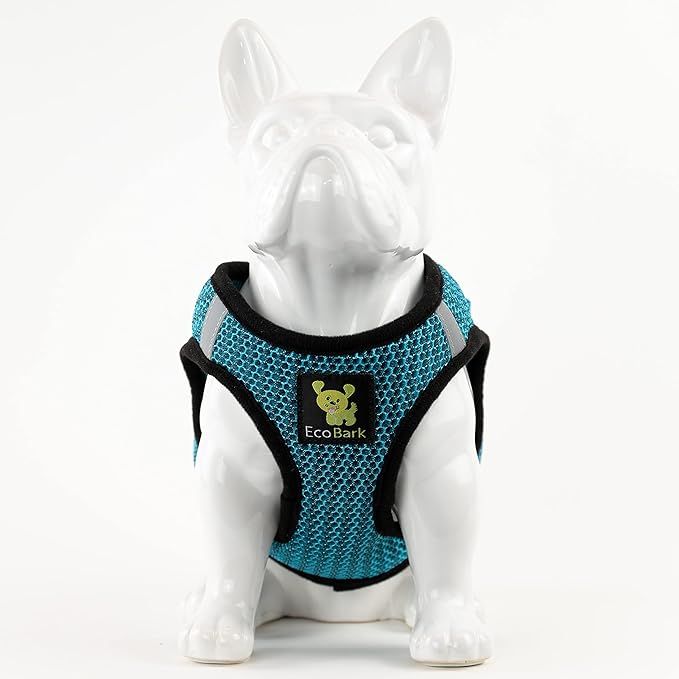 EcoBark Step in Dog Harness - Eco-Friendly Small Breed Dog Harnesses for Toy Breed Dogs - Reflective and Adjustable Mini Body Halter Vest - Soft Mesh Toy Breed Harness (Aqua Blue, Small)