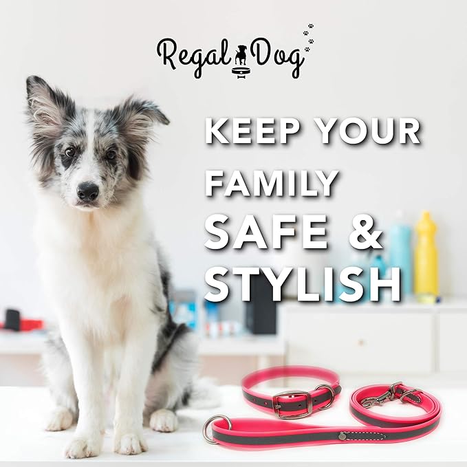 Regal Dog Products Medium Pink Reflective Dog Collar and Leash Set - Waterproof Biothane Dog Collar with Heavy Duty Double Buckle, D Ring & 5ft Leash - Other Size for Medium & Large Dogs