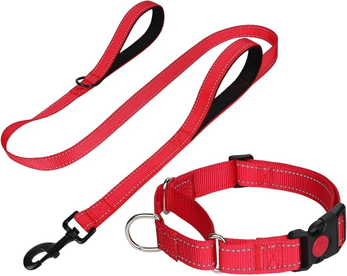 FunTags Reflective Martingale Collar for Dogs, Quick Release Buckle, 5FT Double Handle Dog Leash Padded, Dog Collar and Leash Set, Adjustable for Medium Dogs (Red, M)