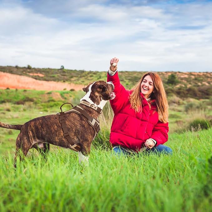 No Pull Dog Harness Adjustable Soft Padded Pet Vest with Control Handle Adorable Daily Harness for Dogs（Cookie Chocolate XS）