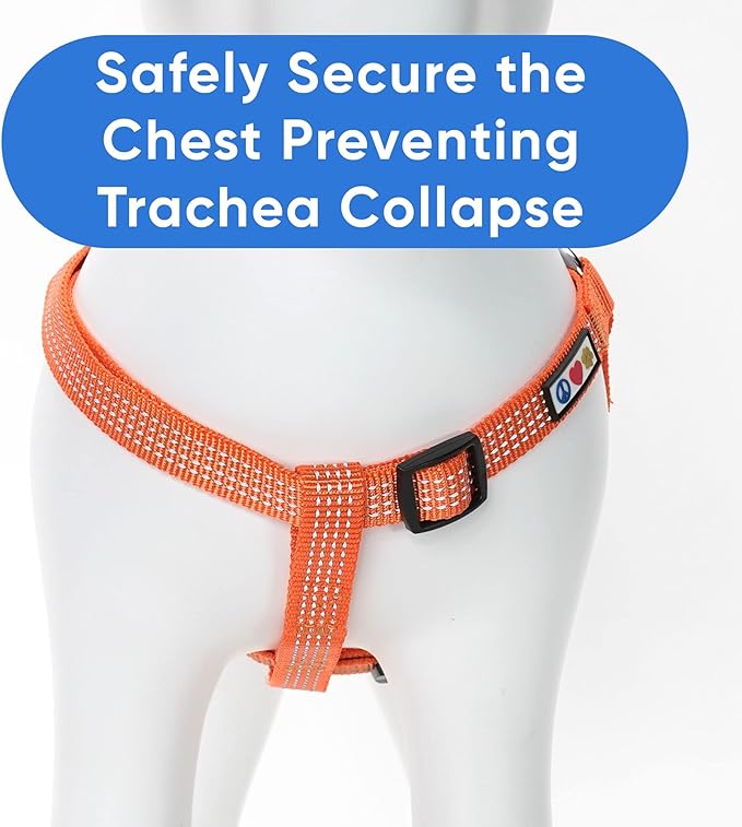 Pawtitas Dog Harness for Large Dogs Orange Dog Harness Step in from a Senior Dog to a Puppy Harness Adjustable Reflective Dog Harness S Reflective Dog Vest