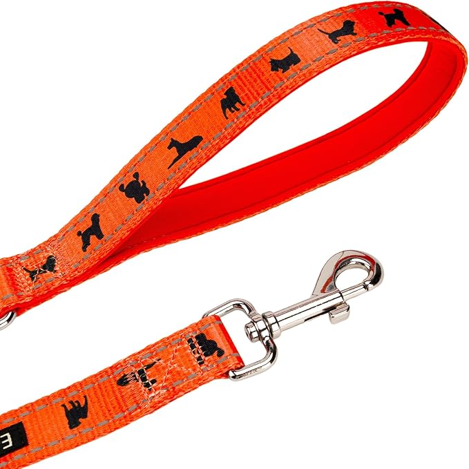 EcoBark Dog Leash - Soft & Reflective Comfort Training Leashes with Padded Handle - Strong Durable Heavy Duty - Training and Pulling for Small, Medium or Large Dogs (Orange)