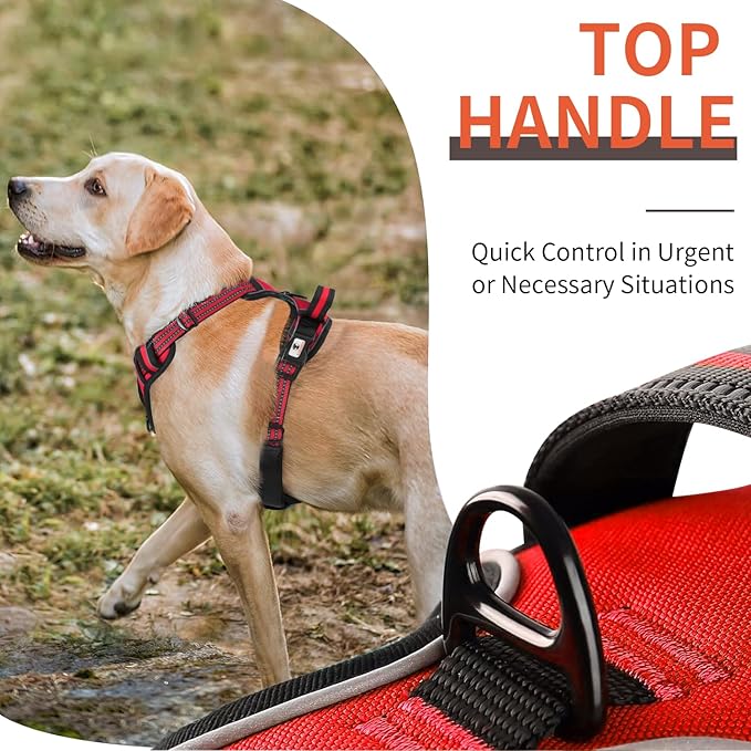 Dog Harness, No-Pull Pet Breathable Harness, Adjustable Soft Padded Dog Vest with 2 Leash Clips, Reflective No-Choke Pet, Easy Control Handle for Large Dogs, Red, L