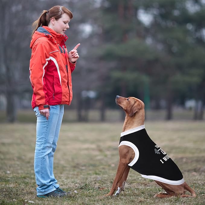 BBTO 12 Pieces Dog Shirts Pet Printed Clothes with Funny Letters Summer Pet T Shirts Cool Puppy Vest Breathable Dog Outfit Soft Cat Sweatshirt for Chihuahuas Cats Accessories, 12 Styles(Medium)