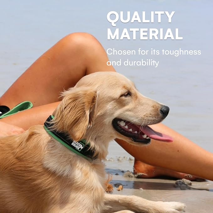 Black Rhino - The Comfort Collar Ultra Soft Neoprene Padded Dog Collar for All Breeds - Heavy Duty Adjustable Reflective Weatherproof (Small, Blue/Grey)