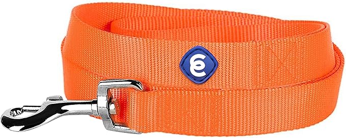 Blueberry Pet Essentials 19 Colors Durable Classic Dog Leash 4 ft x 1", Florence Orange, Large, Basic Nylon Leashes for Dogs