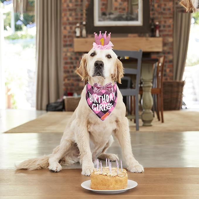 ADOGGYGO Dog Birthday Party Supplies, Multi Size Offered, Birthday Girl Dog Bandana, Pink Party Hat Crown with Numbers for Extra Large Dogs Pets (X-Large)