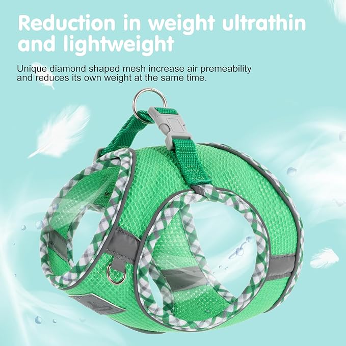 Dog Harness and Leash Set, No Pull Pet Harness for Small Dogs Easy Walking,Soft Breathable Small Dog Harness,Adjustable Reflective Step in Vest Harness for Puppy ,kitten, Cats