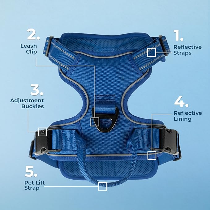 No Pull Dog Harness for Large Dogs, Dual Leash Attachments, Adjustable Soft but Strong Pet Harness with 3M Reflective Technology, (Royal Blue Lattice Nylon), L (Chest: 25-30")