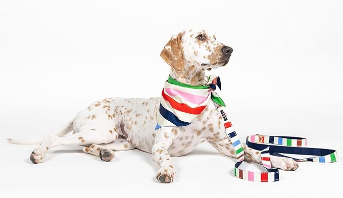 kate spade new york Pet Bandana for Boy or Girl Dogs, Lightweight Bandana for Dog, Cute Dog Scarf for Medium or Large Pets, Adventure Stripe