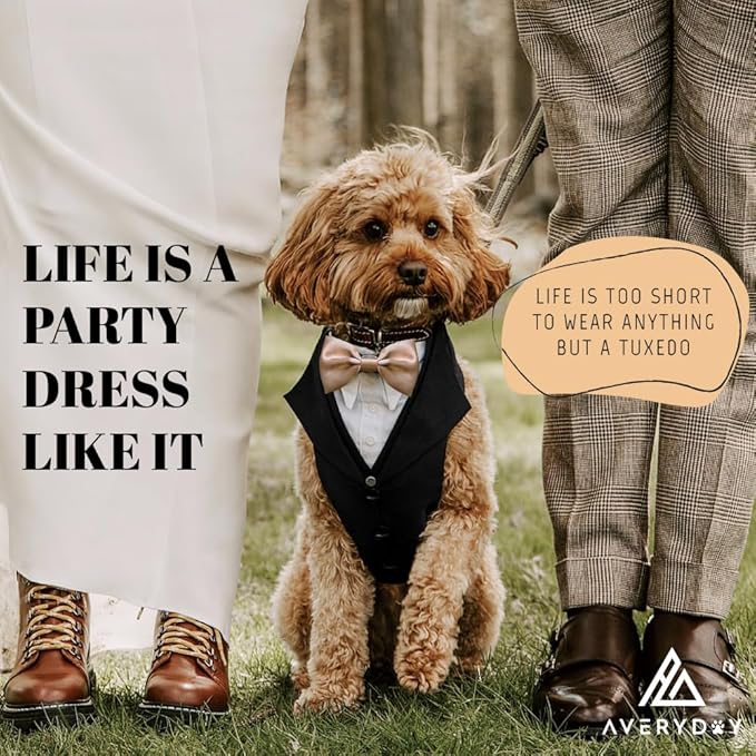 Dog Tuxedo for Wedding Outfit, Dog Suit and Tie Costumes for Birthday, Halloween, Cosplay, Christmas Party, Pet Formal Wear with Bowtie, Tux for Medium Large Dogs, Bulldog, Labrador, Husky