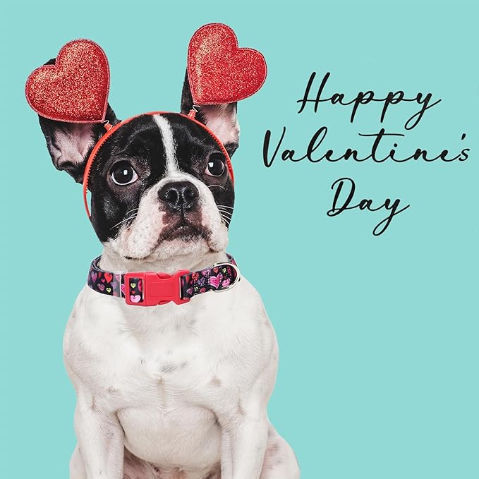 Dog Collar for Medium Dogs with Cute Heart Patterns for Girl & Boy Dogs, Adjustable Soft Pet Collar with Safety Buckle for Small Medium Large Dog (Heart M)