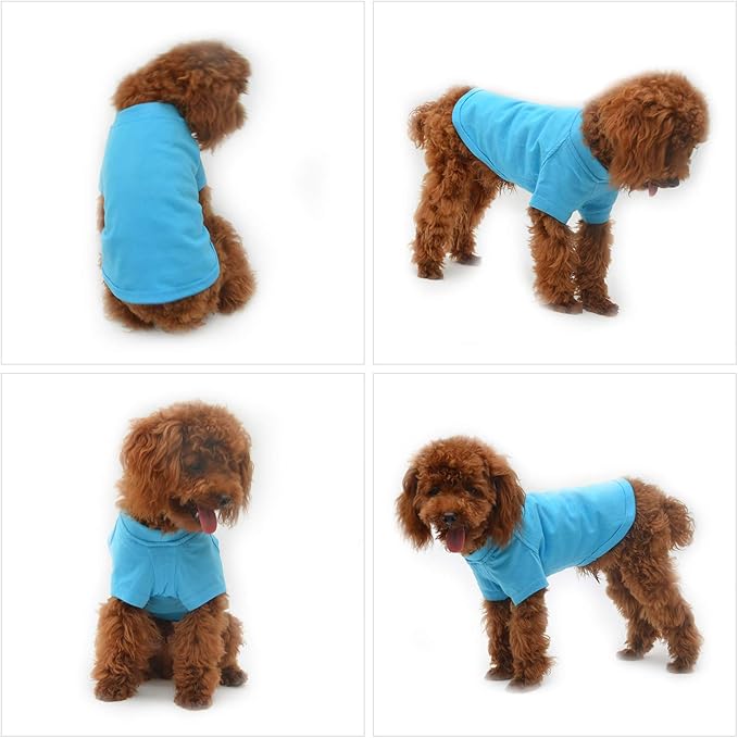 Lovelonglong Pet Clothing Dog Costumes Basic Blank T-Shirt Tee Shirts for Small Dogs Lake-Blue L