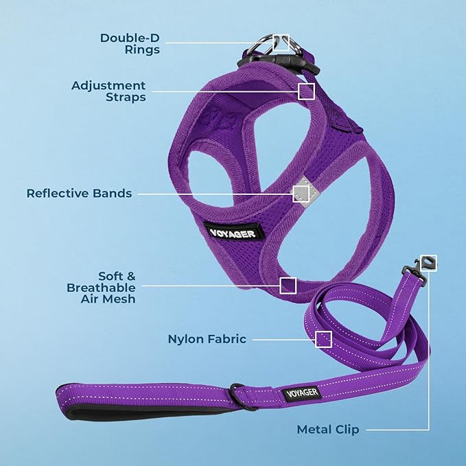 Voyager Step-in Air All Weather Mesh Harness and Reflective Dog 5 ft Leash Combo with Neoprene Handle, for Small, Medium and Large Breed Puppies by Best Pet Supplies - Set (Purple), S