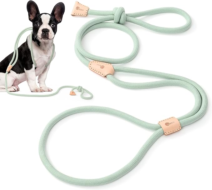 Mile High Life Harness Lead No Pull, All in one Dog Lead 2-in-1, Rope Leash and Harness Two in One, Slip Leash for Puppy Small Dogs Training, 4FT Green