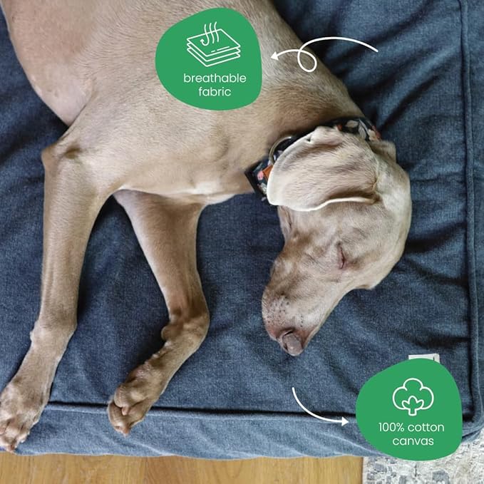 Molly Mutt Dragonstone Dog Bed Duvet Cover, GOTS-Certified 100% Cotton Canvas Cover for Dog, Puppy, or Cat Bed, Durable, Washable, and Free of Harmful Chemicals, Huge, 36"x45"x5", Blue