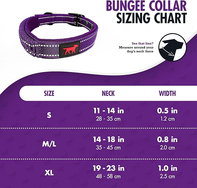 Heavy Duty Dog Collar with Handle | Ballistic Nylon Heavy Duty Collar | Padded Reflective Dog Collar with Adjustable Stainless Steel Hardware | Convenient Sizing for All Breeds