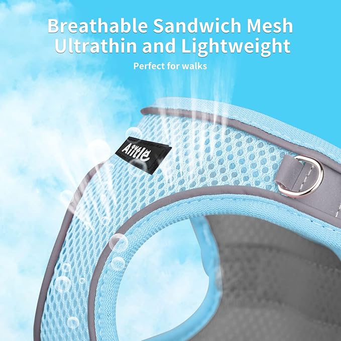 AIITLE Comfortable Dog Harness and Leash Set for Walking - Spring Step in Vest Harness,Reflective Bands, Adjustable No Pull Puppy Essentials, for Small Dogs and House Cats Blue XS