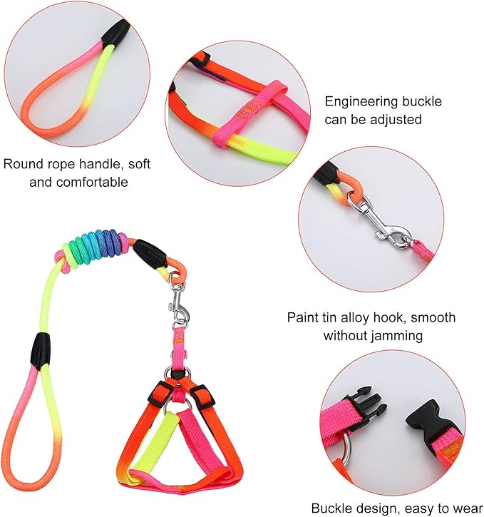 Frienda 2 Pcs Mini Pig Harness Leash Adjustable Small Pet Supply Mini Pig Walking Harness and Leash for Hog Piggy Ferret Rabbit Dog Cat and Other Small Animals Walking Training Jogging