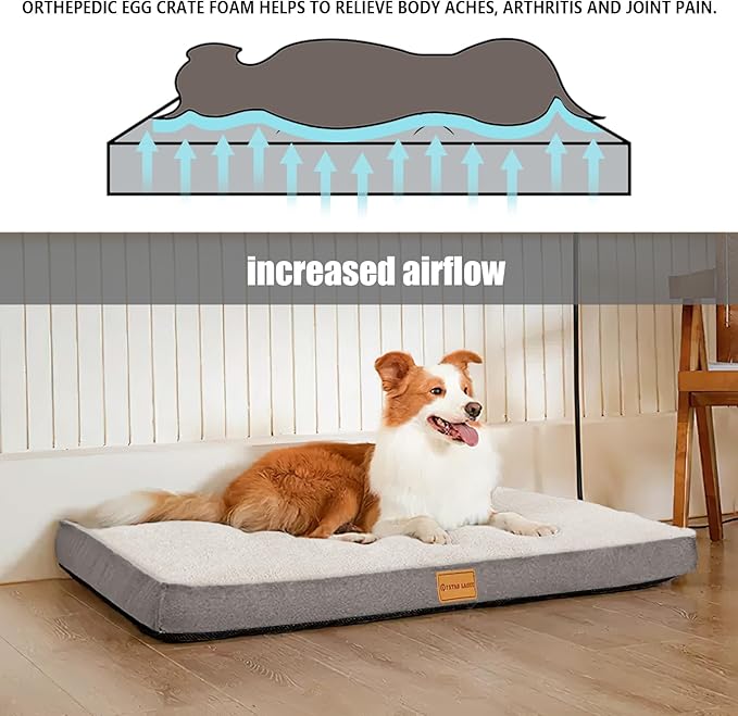 Patas Lague Orthopedic Jumbo Dog Bed for Extra Large Dogs 56''X40'', Soft Comfortable Waterproof Egg Crate Foam Jumbo Pet Beds Mat with Removable Washable Cover, Ivory
