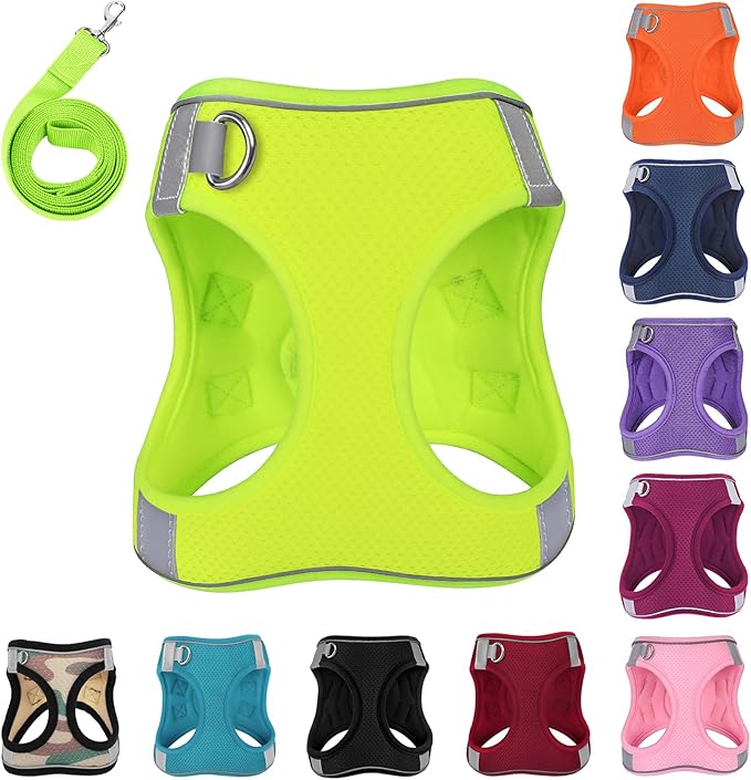 Dog Harness with Leash Set, No-Pull Step-in Reflective Pet Harness with 1 Leash Clips, Adjustable Soft Padded Easy Walk Dog Vest for Small Medium Large Dogs, Cats(Fluorescent, Small)