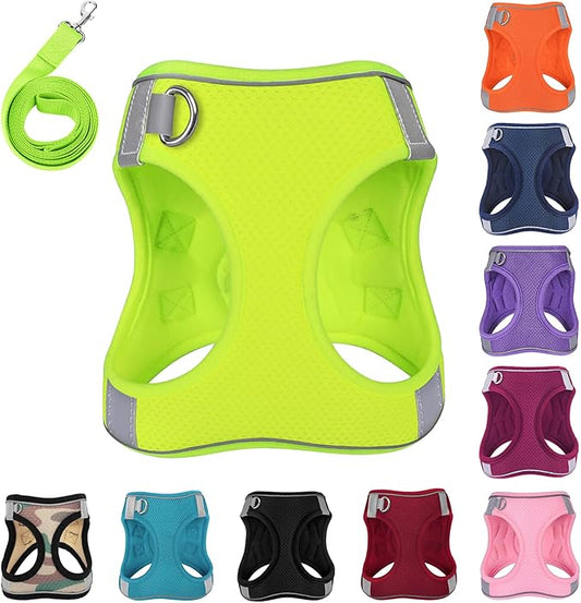 Dog Harness with Leash Set, No-Pull Step-in Reflective Pet Harness with 1 Leash Clips, Adjustable Soft Padded Easy Walk Dog Vest for Small Medium Large Dogs, Cats(Fluorescent, Small)