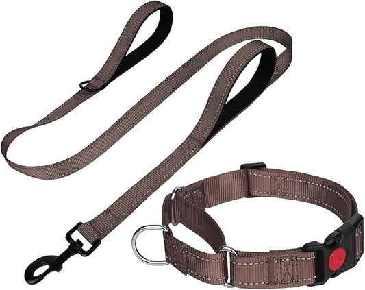 FunTags Reflective Martingale Collar for Dogs, Quick Release Buckle, 5FT Double Handle Dog Leash Padded, Dog Collar and Leash Set, Adjustable for Small Dogs (Brown, S)
