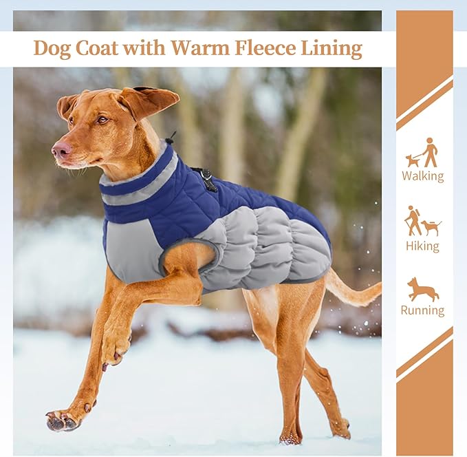 Winter Dog Coat,Large Dog Jacket,Waterproof Pet Jacket with Back Zipper,Pet Coat with Harness Built in,Warm Dogs Coat with Fleece Lined, Snow Jacket Clothes French Bulldog Shiba Inu,Blue,L