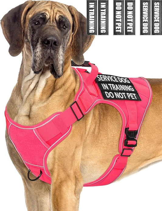 Pink Service Dog in Training Vest Harness for Extra Large Dogs, Reflective Adjustable Heavy Duty Padded Dog Harness, with Front Clip and Metal Buckles Do Not Pet for Training, Hiking