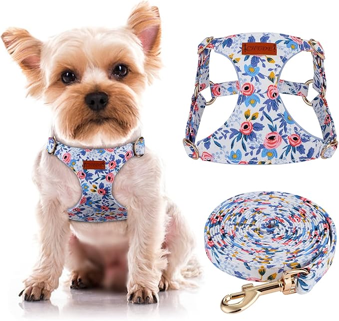 CHEDER No-Pull Floral Pattern Dog Harness - Lightweight & Soft, Adjustable for Small & Medium Dogs (XXS, Blue Rose) with Leash