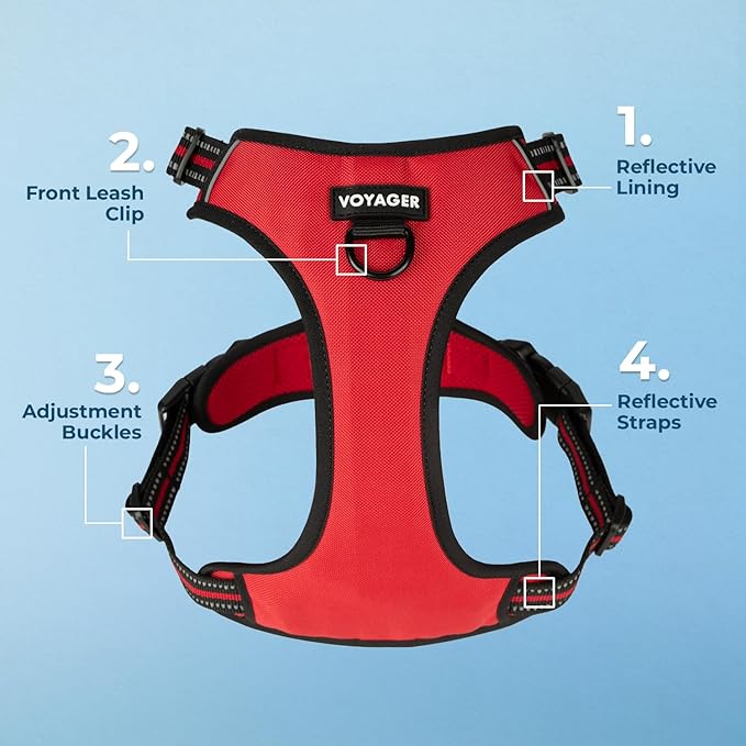 Dog Harness Dual Leash Attachment No-Pull Control Adjustable Soft but Strong Pet Harness for Medium and Large Dogs with 3M Reflective Technology - Harness Leash Set (Red Lattice), XS