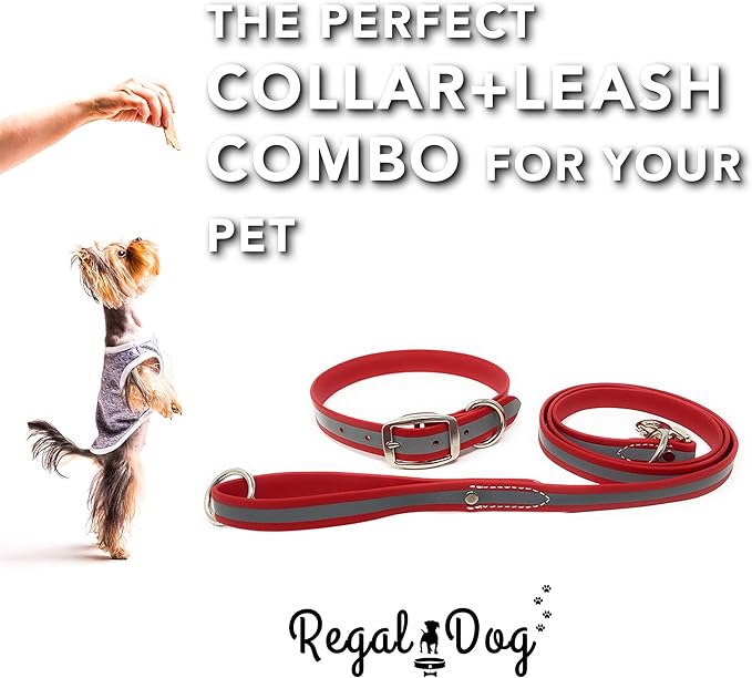 Regal Dog Products Large Red Reflective Dog Collar and Leash Set - Waterproof Biothane Dog Collar with Heavy Duty Double Buckle, D Ring & 5ft Leash - Other Size for Medium & Large Dog